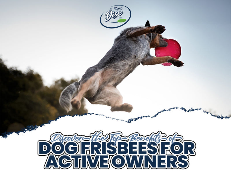 Most durable dog frisbee top