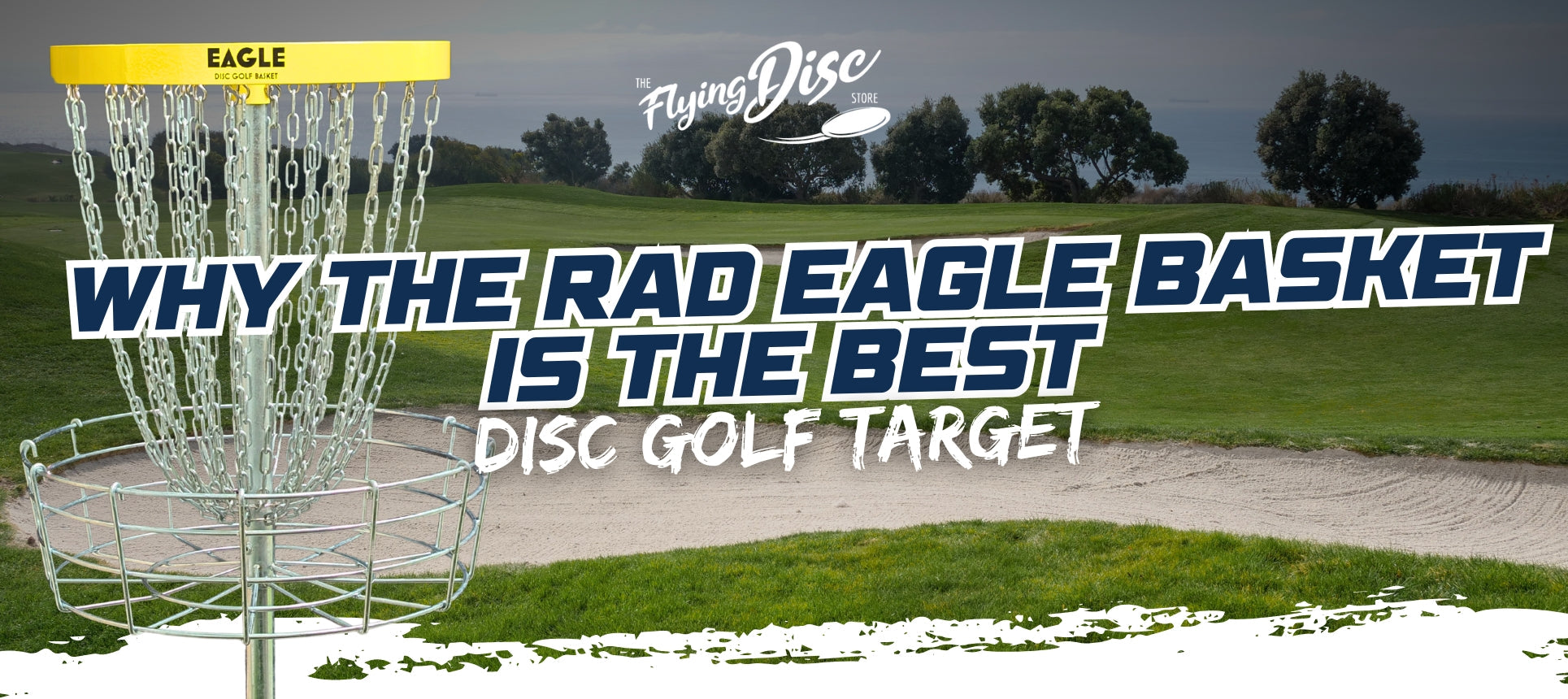 Why RAD Eagle Basket Is the Best Disc Golf Target