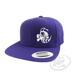 discraft-snapback-hat-buzzz-design-purple-two-tone-snapback
