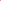 Innova Star Caiman - Pink